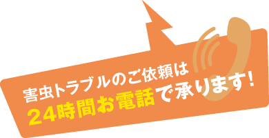 害虫トラブルのご依頼は24時間お電話で承ります！