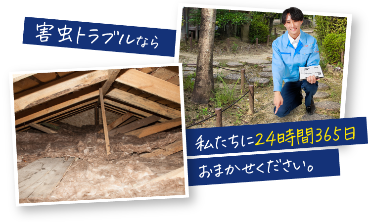害虫トラブルなら私たちに24時間365日おまかせください。
