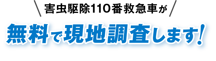害虫駆除110番救急車が無料で現地調査します！