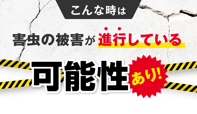 こんな時は害虫の被害が進行している可能性あり！