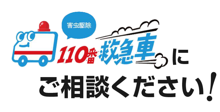 害虫駆除110番救急車にご相談ください！