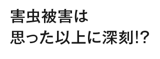 害虫被害は思った以上に深刻!?