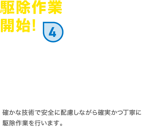 駆除作業開始! 確かな技術で安全に配慮しながら確実かつ丁寧に駆除作業を行います。