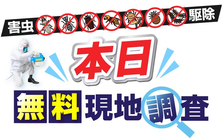 害虫駆除 無料現地調査