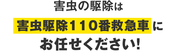 害虫の駆除は害虫駆除110番救急車にお任せください！